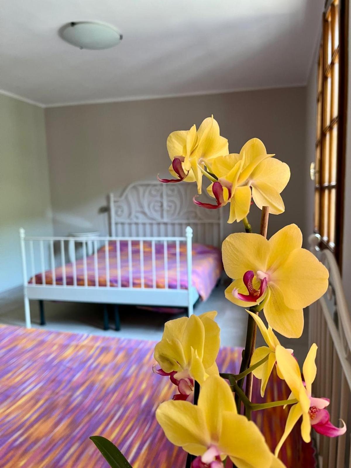 باراتِكو B&B Aria Di Lago المظهر الخارجي الصورة