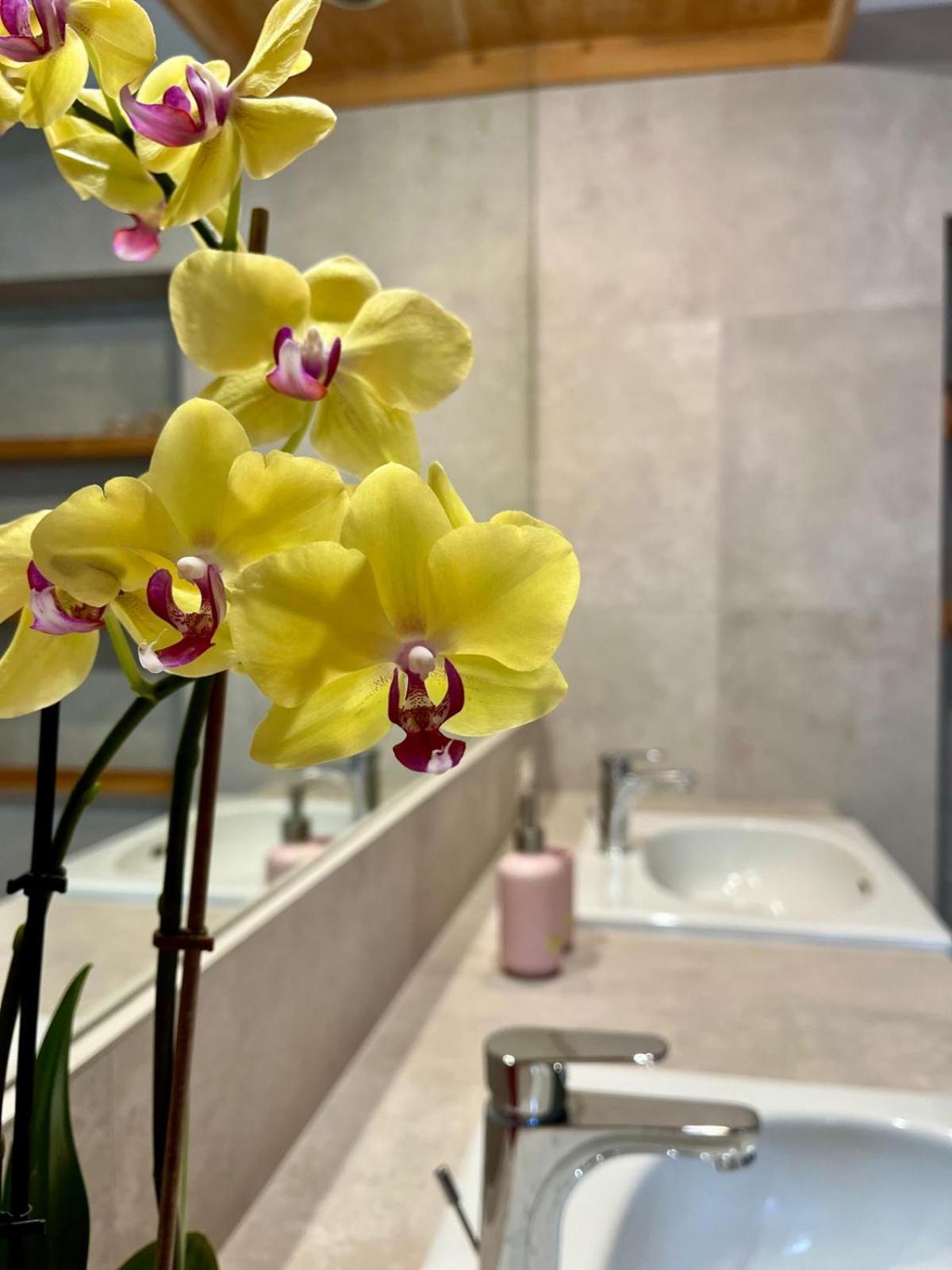 باراتِكو B&B Aria Di Lago المظهر الخارجي الصورة